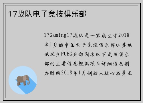 17战队电子竞技俱乐部